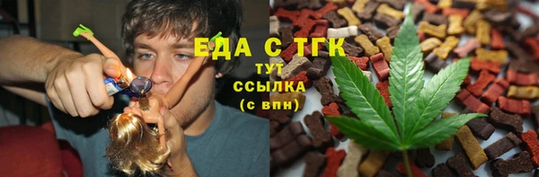 индика Пестово