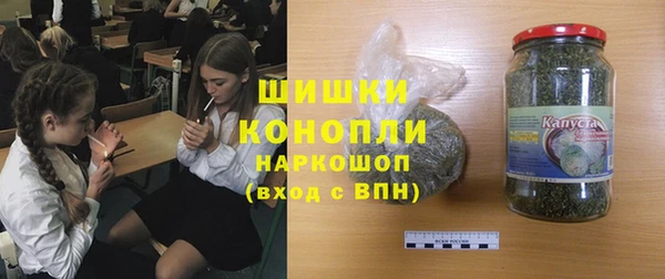 прущие грибы Грязи