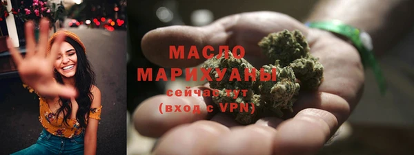 индика Пестово