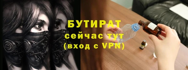 индика Пестово