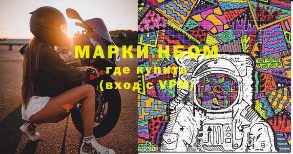 индика Пестово