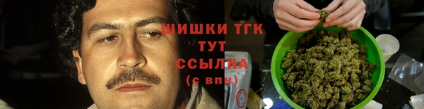 гашик Покровск