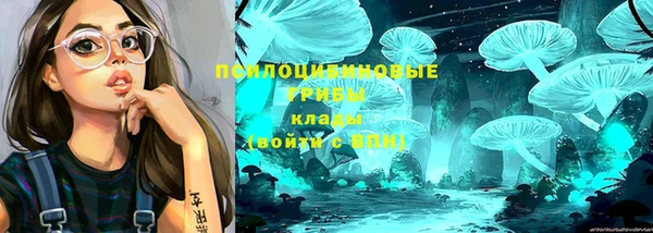 гашик Покровск