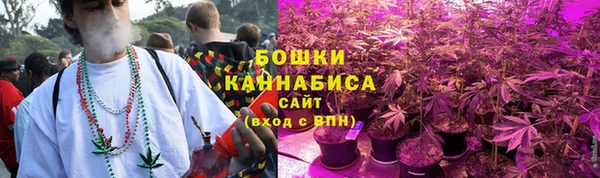 метадон Инта