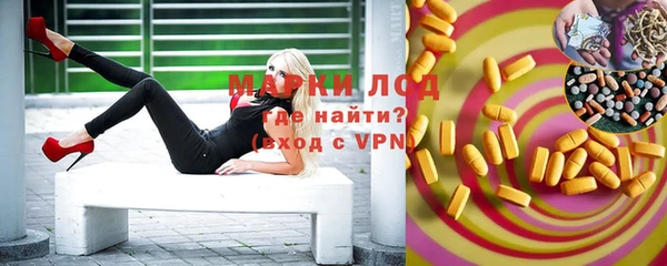 индика Пестово