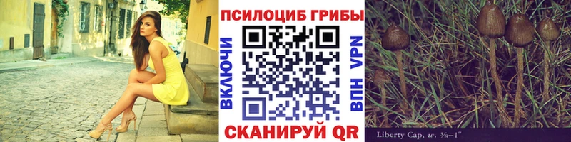 купить  сайты  Лермонтов  Псилоцибиновые грибы мицелий 
